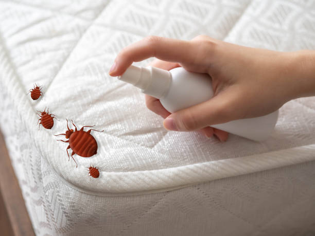 Best Pest Prevention Services  in Shawsville, VA