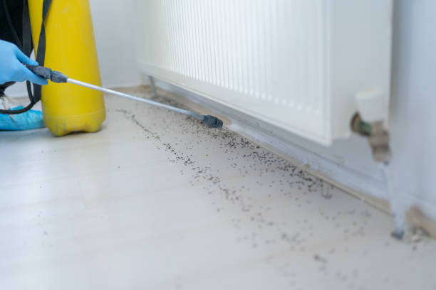 Best Residential Pest Control  in Shawsville, VA