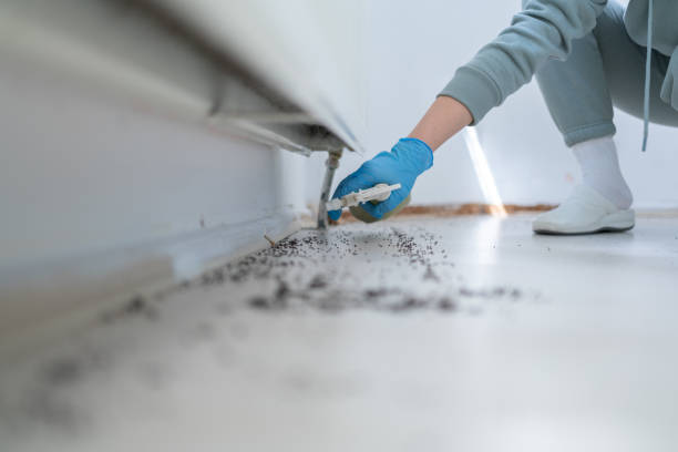 Best Best Pest Control Companies  in Shawsville, VA